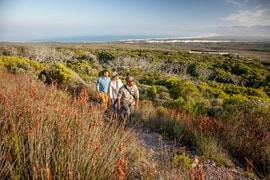 Walking Trails in Gansbaai