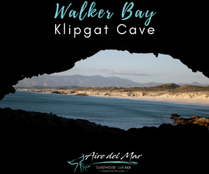 Walker Bay Klipgat Cave