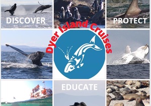 19 + 20 June 2021: Next Dyer Island Marine Big 5 Trip