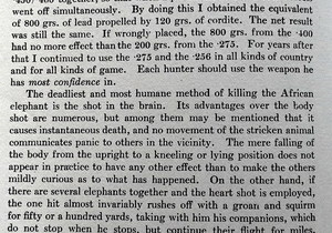 The Wanderings of an Elephant Hunter