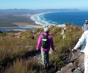 Nature Guided Walks and Trails