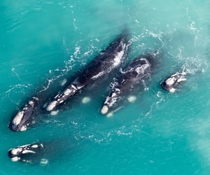 Explore the Southernmost Towns in Africa this Winter