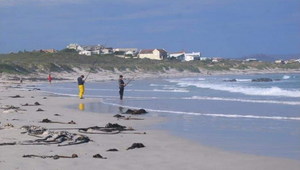 On the Beach: The Fishing Fraternity