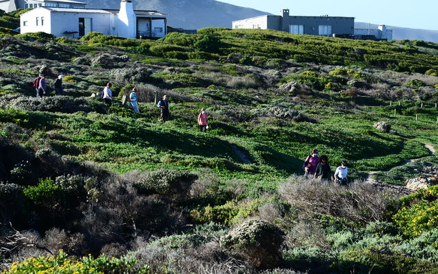 Meander inauguration