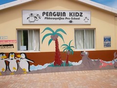 Pikkewyntjies Penguins