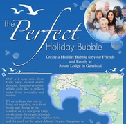 The Perfect Holiday Bubble