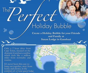 The Perfect Holiday Bubble