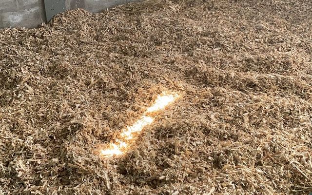 WhatsApp_Image_2021_07_01_at_10.14.12_1625132553