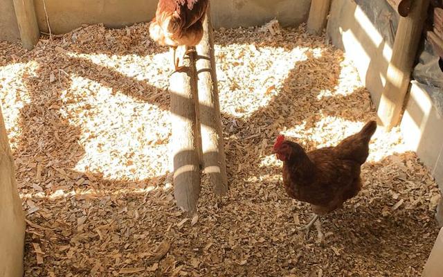 WhatsApp_Image_2021_07_01_at_10.14.13_3_1625132945