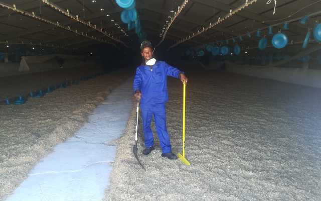 WhatsApp_Image_2021_07_01_at_10.31.20_1_1625132946