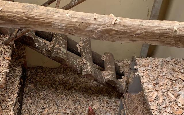 WhatsApp_Image_2021_07_01_at_10.14.13_4_1625133106