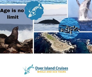 Next Dyer Island Marine Big 5 Trip: 6 July 2021