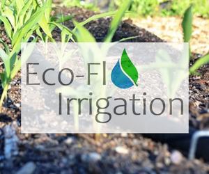 Top 7 Vegetables to Grow Over Winter 