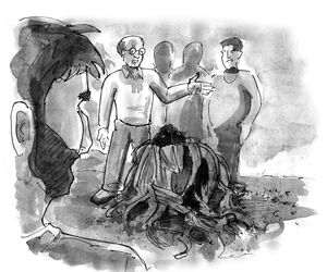 Welwitschia Mirabilis