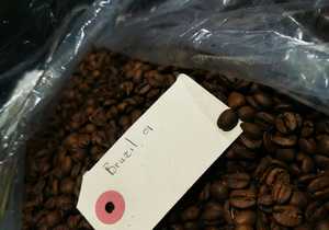 Brazil Cerrado Medium Roast