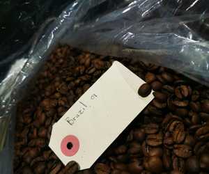Brazil Cerrado Medium Roast