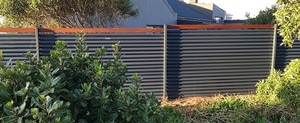 Modern Fence and Gate