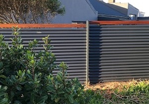 Modern Fence and Gate
