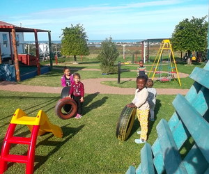 Pikkewyntjies Jungle Gym