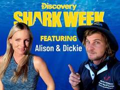 Shark Week 2021 ft Dickie Chivell and Alison Towner
