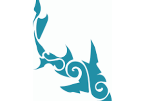 Next Marine Dynamics Shark Cage Diving Trip: 15 July 2021