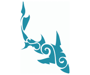 Next Marine Dynamics Shark Cage Diving Trip: 15 July 2021