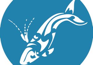 Next Dyer Island Marine Big 5 Tour: Thursday, 15 July 2021