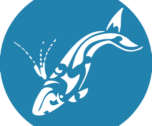 Next Dyer Island Marine Big 5 Tour: Thursday, 15 July 2021