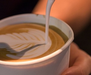 New Single Origin at Raging Goose Coffee!