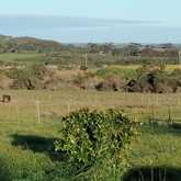Kids Feeding the Donkeys - Rusthof Accommodation - Xplorio™ Gansbaai