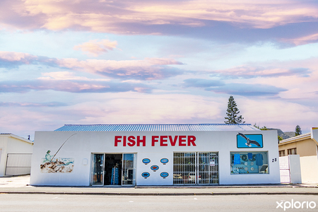 fish_fever_outside_view_1731671564