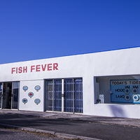 Fish Fever - Fish & Tackle Shop in Gansbaai - Xplorio™ Gansbaai