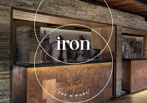 Iron Paint: Earthcote