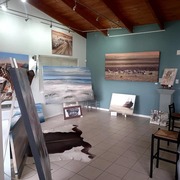 Lize Art Gallery is open!