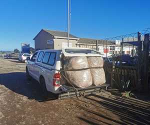 Dry Shavings Delivery