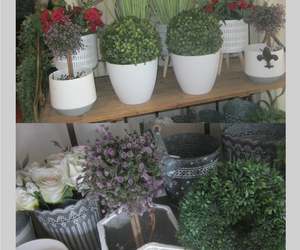 Beautiful Plant Pot Holders