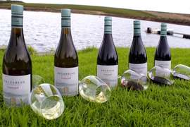 FREE Gift Worth R100 Upon Signup