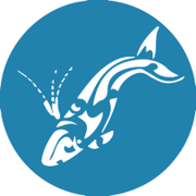 Next Dyer Island Marine Big 5 Tour: Saturday, 30 July 2021