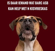 Chest Freezer Needed