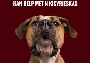 Chest Freezer Needed