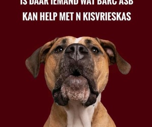 Chest Freezer Needed