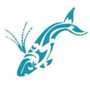 Next Dyer Island Marine Big 5 Tour: Saturday, 31 July 2021