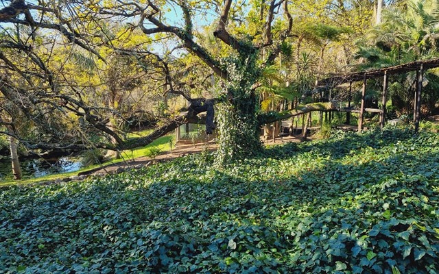 231349150_1998066567026983_2389261830605221997_n_1628058536