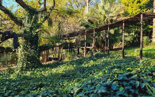 232425869_1998066493693657_8135708944998449868_n_1628058535