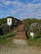 Boardwalk at Rotunda Way
