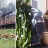 Collage - Bodhi Khaya Nature Retreat - Xplorio™ Gansbaai