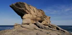 Explore the exquisite beauty of Walker Bay!