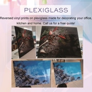 Plexiglass Prints