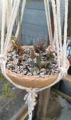 681ec489_2cec_4a42_a87e_2d4d920670c6_1628775715