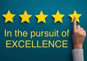 What is business excellence?